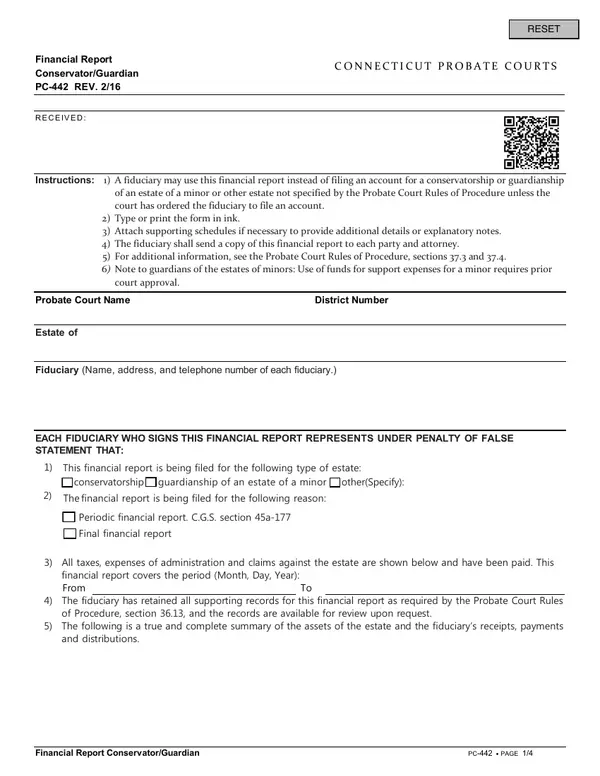 First page of Financial Report Conservator/Guardian
