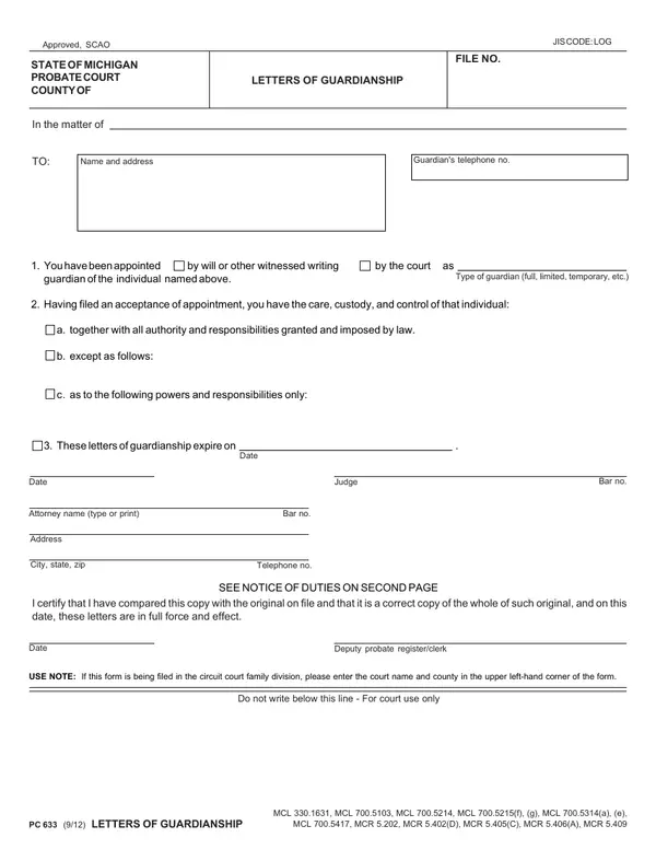 First page of Letters of Guardianship