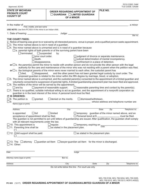 First page of Order Regarding Appointment of Guardian/Limited Guardian of a Minor