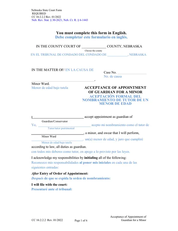 First page of Acceptance of Appointment of Guardian for a Minor